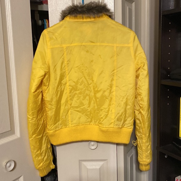 Yellow Jacket - Picture 2 of 6